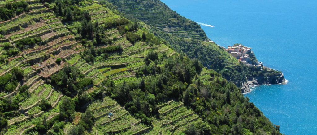 Parco Cinque Terre: un milione di euro per i sentieri