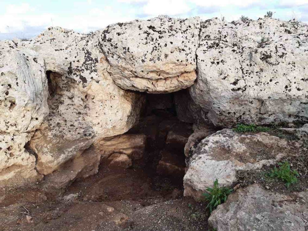 Puglia, scoperto un sito archeologico in una cantinaPuglia, scoperto un sito archeologico in una cantina