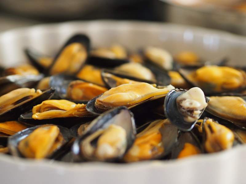 Cervia, cozze gratis ai cittadini