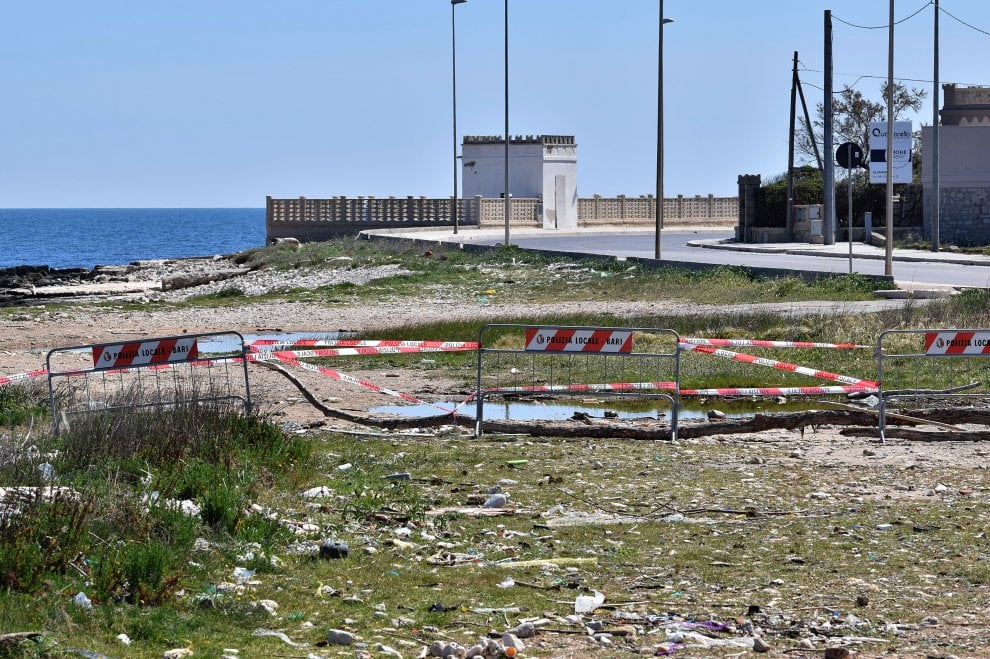 Bari, nido di fratini vicino al lungomare di San Giorgio