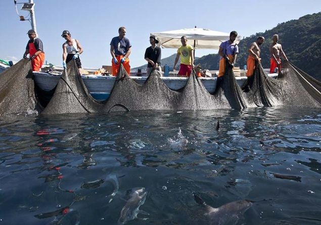 Dall'Europa aiuti economici per i pescatori