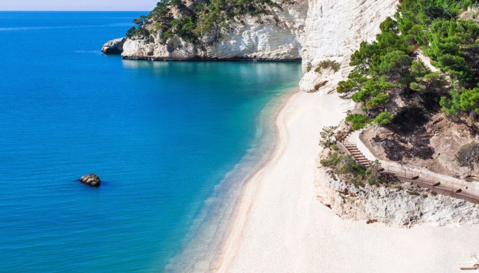 Fase 2, i sindaci della Puglia uniti per diporto, pesca e animali