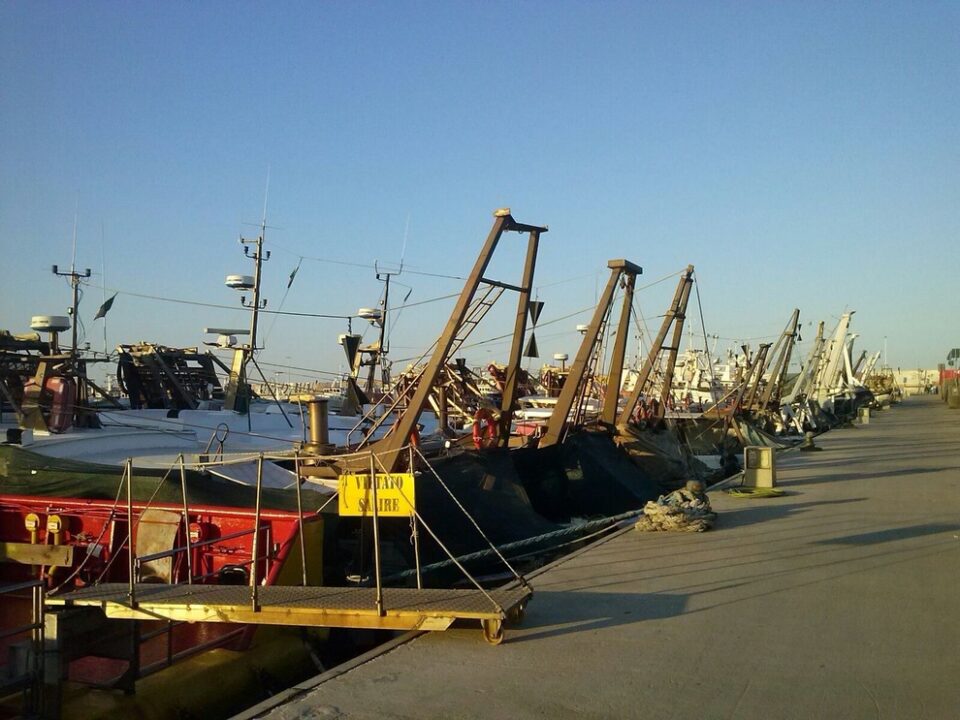 Cura Italia, Federpesca: "Positiva consultazione al MIPAAF sull'articolo 78"