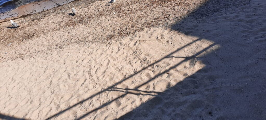 Bagheria, al via la pulizia delle spiagge del litorale di Aspra
