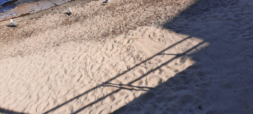 Bagheria, al via la pulizia delle spiagge del litorale di Aspra