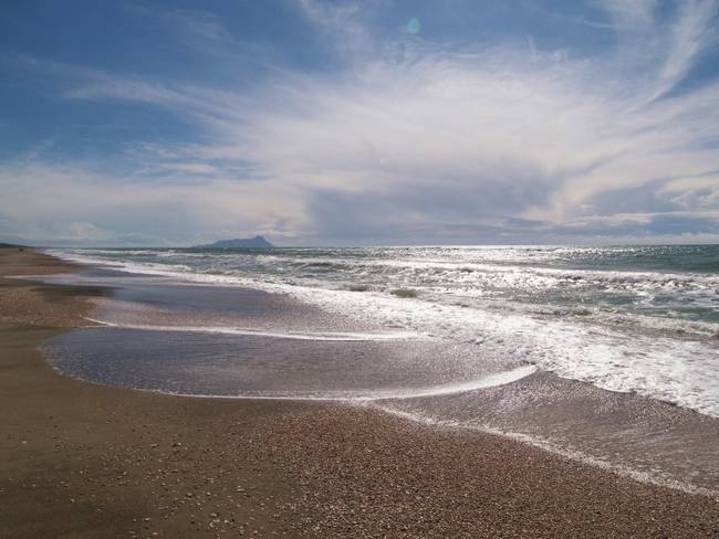 Salute, Immunologi: l'aria di mare fa bene, ma ingressi ridotti in spiaggia