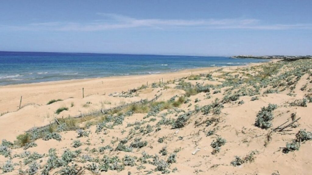 Ragusa, terzo nido di tartaruga a Randello: ritorsioni agli ambientalisti