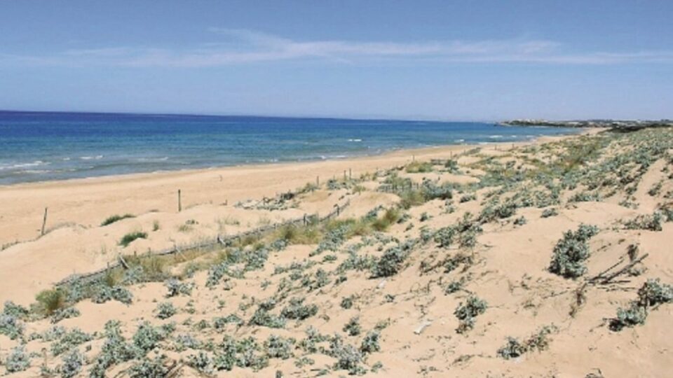 Ragusa, terzo nido di tartaruga a Randello: ritorsioni agli ambientalisti