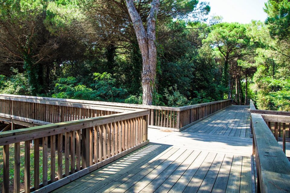L’estate 2020 al Parco Pineta di Jesolo si arricchisce di nuove opportunità