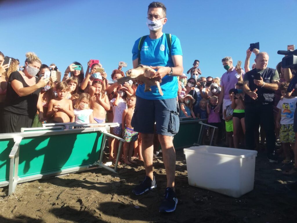 Cecina: la tartaruga Nanà curata all’Acquario di Livorno è tornata in mare