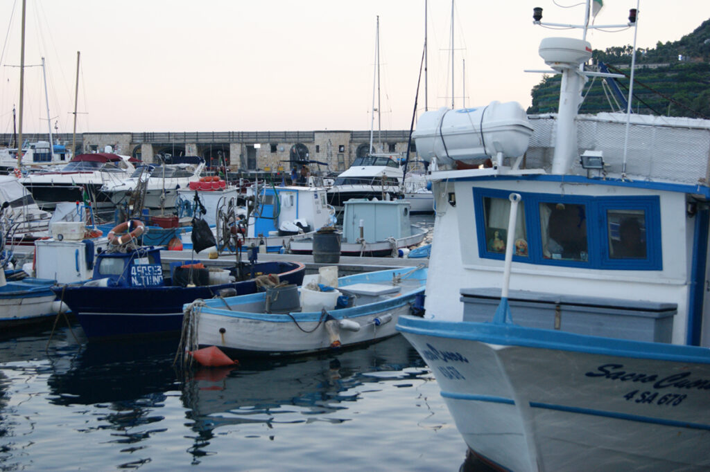 Progetto C.Ali.Ce, dal mare alla colatura: il ciclo sostenibile Alici di Cetara