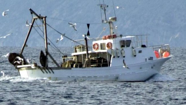 Federpesca: "Nel decreto ristori contributi per le imprese del settore"