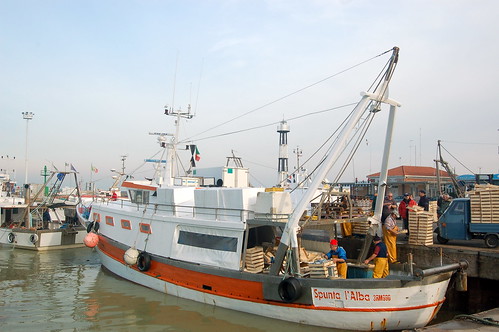Gabicce Mare, pesce appena pescato donato a 30 famiglie bisognose