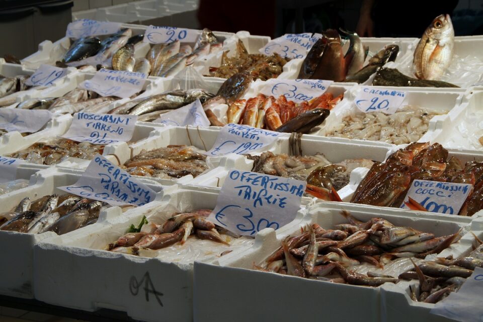 Corigliano Rossano, Schiavonea paese del pesce al consumo