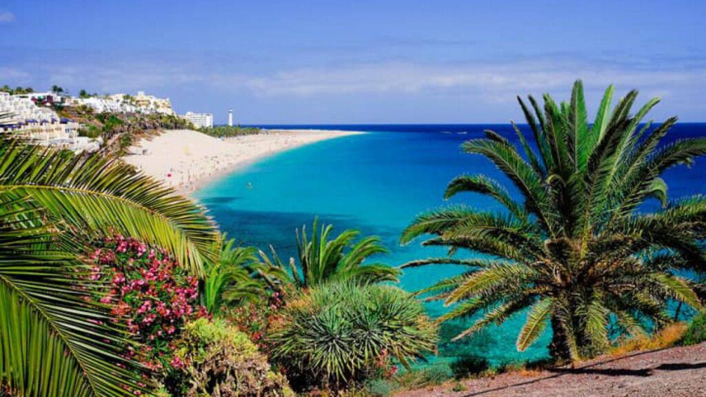 vacanze covid free