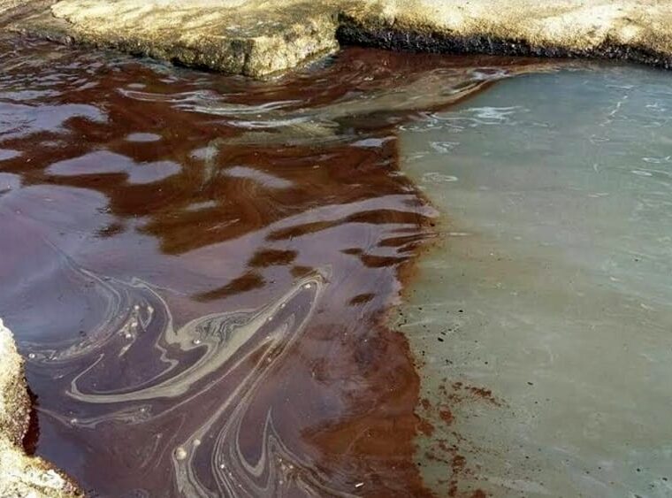 sea Recycle cooking oil