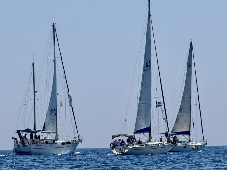 Vela & Salute